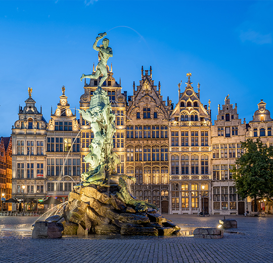 The flower carpet - Antwerpen